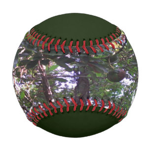 Avocado-Baum Baseball