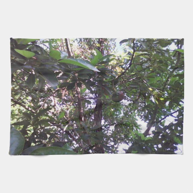 Avocado-Baum Geschirrtuch (Horizontal)