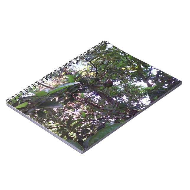 Avocado-Baum Notizblock (Linke Seite)