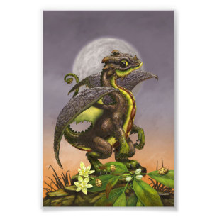 Avocado Dragon 4x6 Print Fotodruck