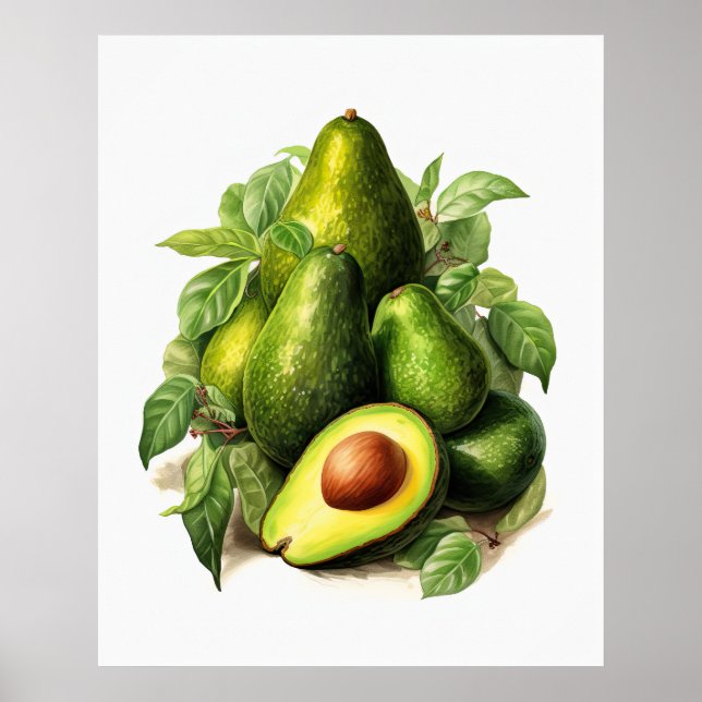 AVOCADO druckbar Poster (Vorne)