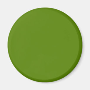 Avocado (einfarbige Farbe) Magnet