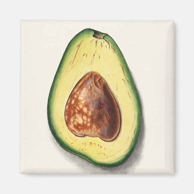 Avocado Magnet (Vorne)