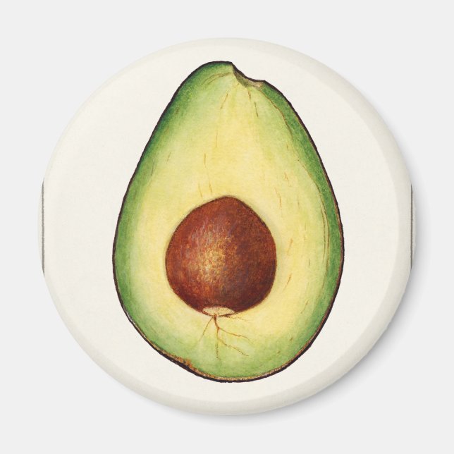 Avocado Magnet (Vorne)