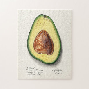 Avocado (Persa) Fruchtfarben