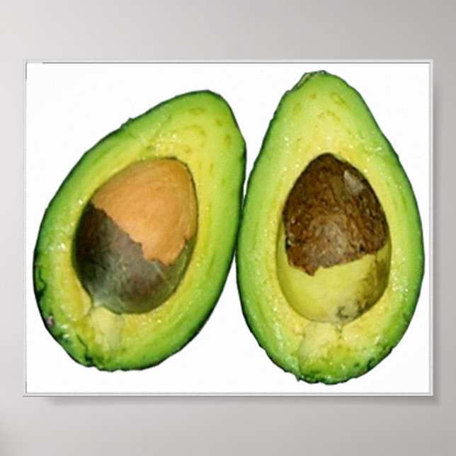 avocado poster (Vorne)