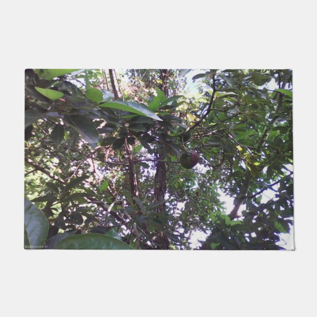 Avocado Tree Fußmatte (Vorderseite)