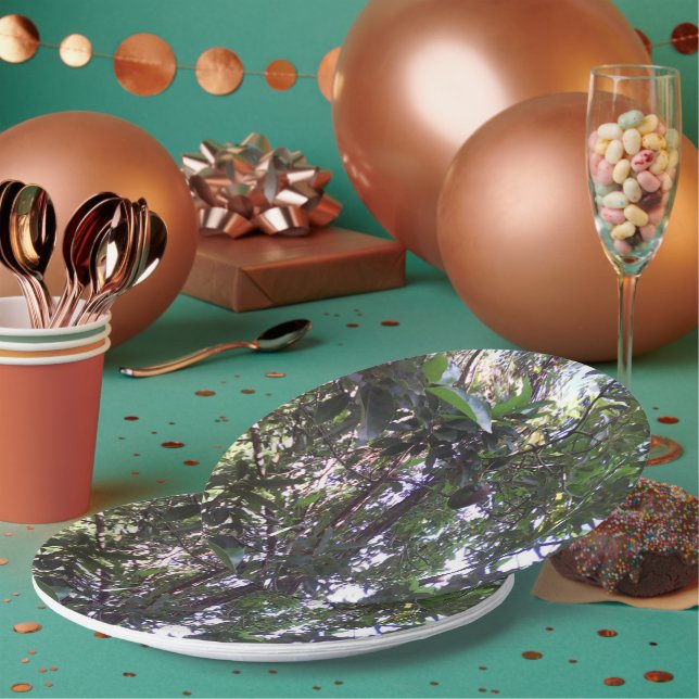 Avocado Tree Pappteller (Multi)