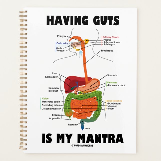 Avoir Des Astuces Est Mon Mantra Système Digestif  (Devant)