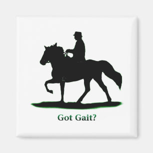 Avoir Gait Magnet