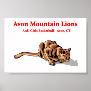 Avon-Berglöwen - Basketball-Verein-Plakat Poster