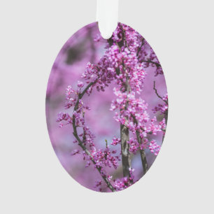 Avondale Redbud Art