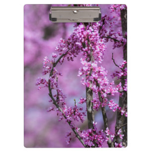 Avondale Redbud Art Klemmbrett