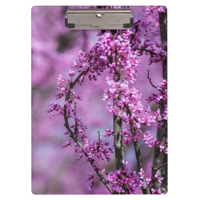 Avondale Redbud Art Klemmbrett (Vorderseite)