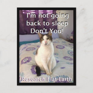 Awake Layla Postcard Postkarte