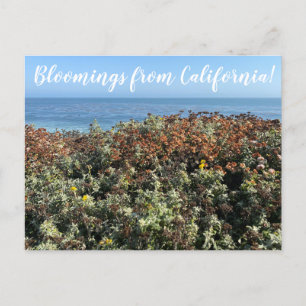 aWorld2Celebrate: Bloomings aus Kalifornien! Postkarte