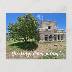aWorld2Celebrate: Grüße von Tulum! Postkarte