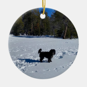 aWorld2Celebrate: Tahoe Snow Dog Keramik Ornament