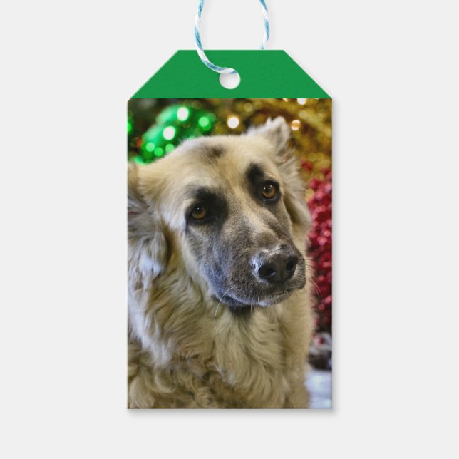 Aww Geschenkanhänger (Vorderseite)