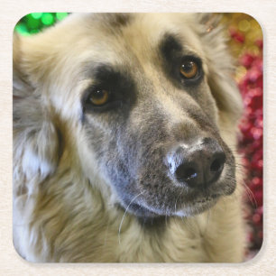 Aww Rechteckiger Pappuntersetzer