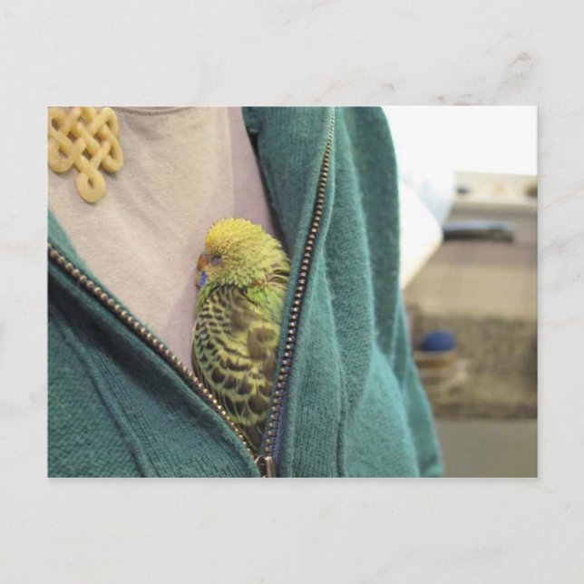 Awww, So Niedlich!!!!!! Postkarte (Vorderseite)