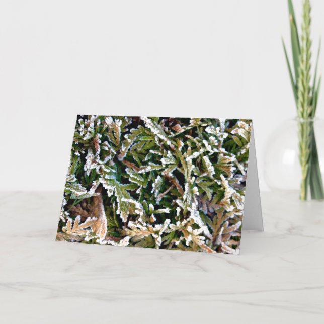 Axial Tilt Holiday Card Feiertagskarte (Vorderseite)