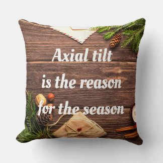 "Axial Tilt ist der Grund für die Saison" Kissen