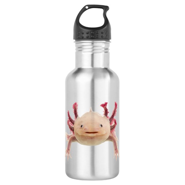 Axologe Edelstahlflasche (Vorderseite)