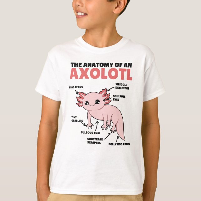 Axolotl Explanation Anatomy Of An Axolotl T-Shirt (Vorderseite)