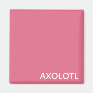 Axolotl pink color name magnet