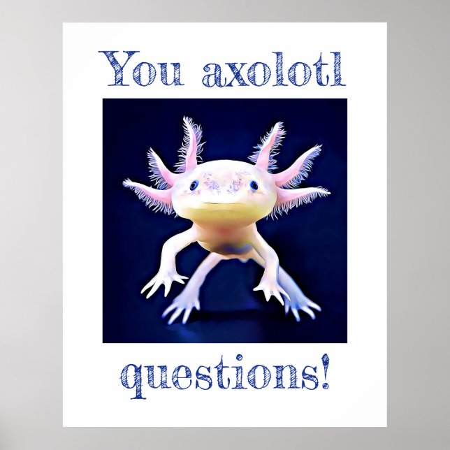 Axolotl Salamander Amphibian Poster (Vorne)