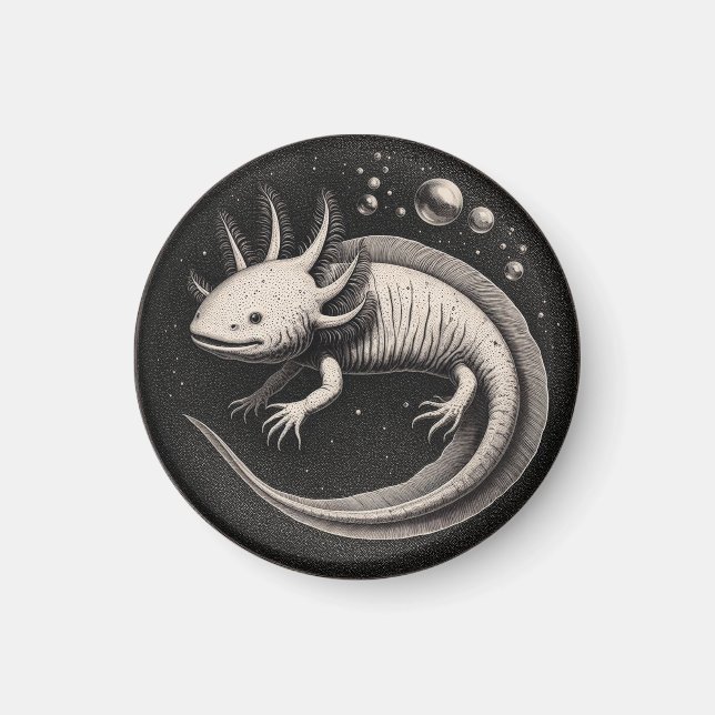 Axolotl Vintag Illustration Magnet (Vorne)