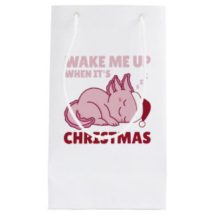 Axolotl Wake Me Up When It's Christmas Kleine Geschenktüte