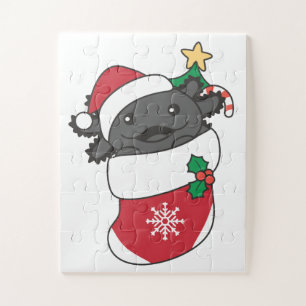 Axolotl Weihnachtsschnee Wintertiere Axolotls