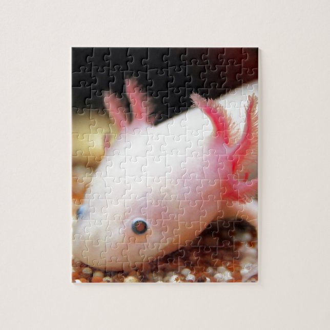 Axolotl Weißling (Vertikal)