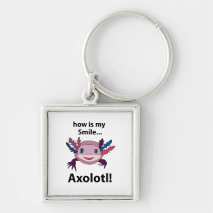 Axolotl Wie ist mein Lächeln lustig Axolotl Schlüsselanhänger
