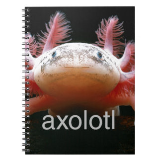 AxolotlAxolotlAxolotlAxolotl Notizblock