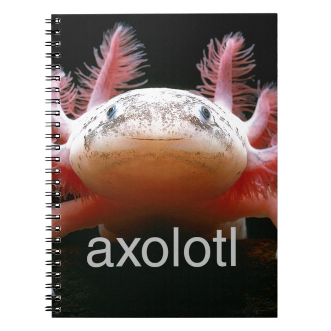 AxolotlAxolotlAxolotlAxolotl Notizblock (Vorderseite)