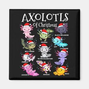 Axolotls Santa Hut Weihnachten Pyjama Süßes Tier A Magnet