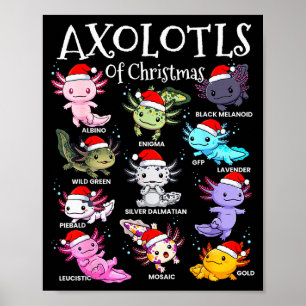 Axolotls Santa Hut Weihnachts-Pyjama Süßes Tier Ax Poster