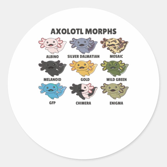 Axolotls von den süßen Tieren der Welt Axolotl Runder Aufkleber (Vorderseite)