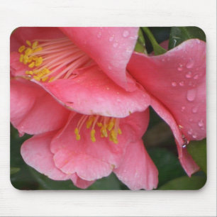 AXT rosa Camelia Blume mousepad