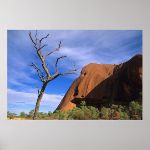 Ayers Rock Uluru im Outback Australien Poster