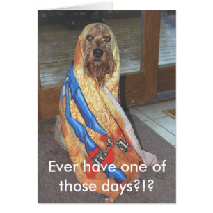 Ayez jamais un de ces jours ? ! ?