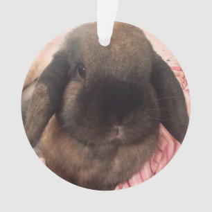 Ayez plaisir à avoir ce petit type accrocher sur