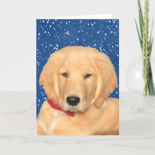 Ayez Une Carte De Chien De Noël En Or