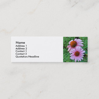 AZ- cartes de visite floraux roses de Coneflower