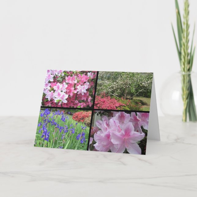 Azalea dogwood-Iris-Sammelkarte Karte (Vorderseite)