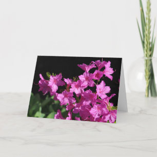 Azalea Grußkarte Karte