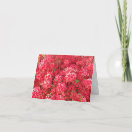 Azalea Grußkarte Karte